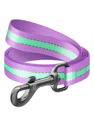 Нейлоновый поводок для собак Nylon светонакопительный (Светится в темноте!) 122 см 15 мм Фиолетовый | 6388436