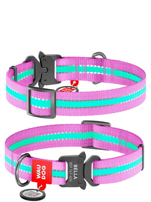 Ошейник для собак светонакопительный (светится в темноте), адресник с QR кодом 25-35 см 15 мм Фиолетовый | 6391156