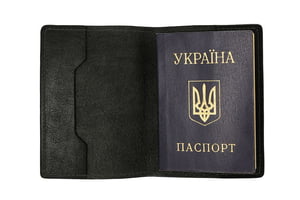 Обложка для паспорта черная | 6396839