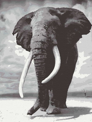 Картина за номерами "Слон" (40х50 см)    | 6424024