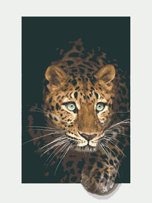 Картина за номерами "Леопард" (40х50 см)    | 6424704