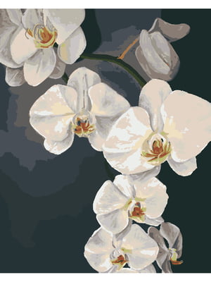 Картина за номерами "Орхідеї" (40х50 см)    | 6424706