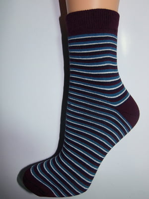 Шкарпетки сині в смужку | 6425536