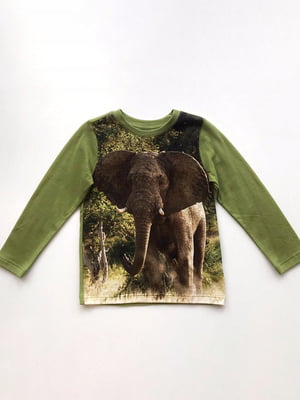 Реглан "Слон" кольору хакі з малюнком | 6428743