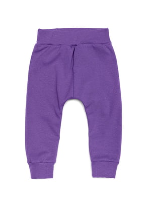 Штаны фиолетовые | 6430109