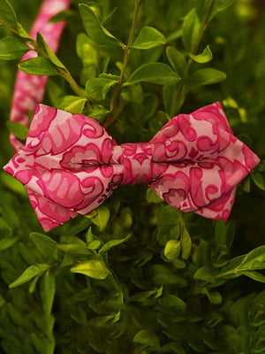 Краватка-метелик рожева з візерунком | 6457456
