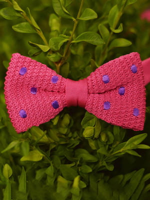 Краватка-метелик в'язана рожева у фіолетовий горошок | 6457459