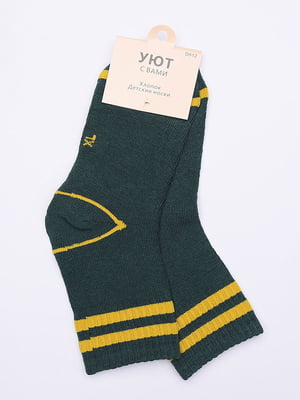 Шкарпетки зелені в смужку | 6488028