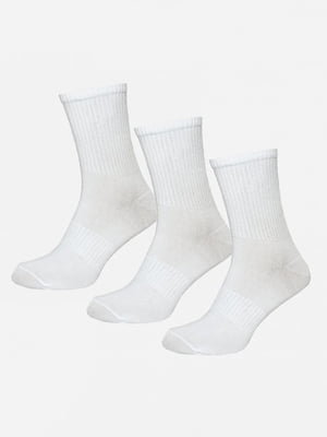 Комплект шкарпеток: 3 пари | 6517211