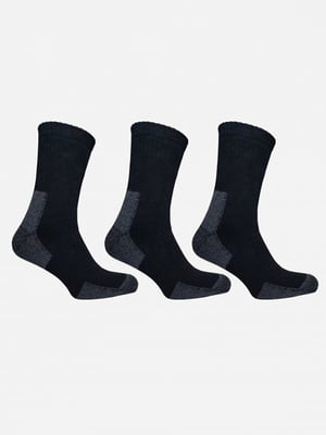 Комплект шкарпеток: 3 пари | 6517431