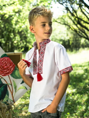 Вишиванка Остап короткий рукав з червоною вишивкою | 6569923