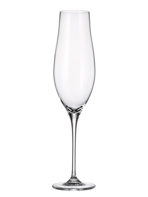Набір келихів для шампанського (6 шт., 200 мл) | 6576115