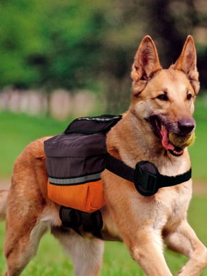 В'ючна сумка для собак Ferplast Dog Scout | 6609295