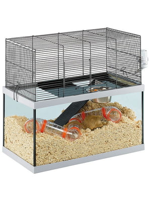 Стеклянная клетка для крыс, мышей и песчанок Ferplast Gabry 60 x 31,5 x h 52 cм - 60 | 6609997
