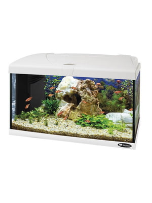 Скляний акваріум зі світлодіодною лампою на 60 літрів Ferplast Capri 60 LED | 6610089