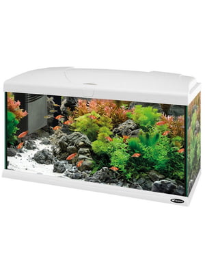 Стеклянный аквариум со светодиодной лампой на 100 литров Ferplast Capri 80 LED | 6610091