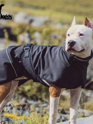Куртка для собак BlackDoggy VC19-JK008 L, Черный | 6610535