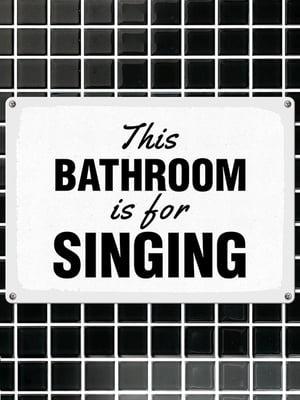 Табличка интерьерная металлическая This bathroom is for singing (26х18,5см) | 6622946
