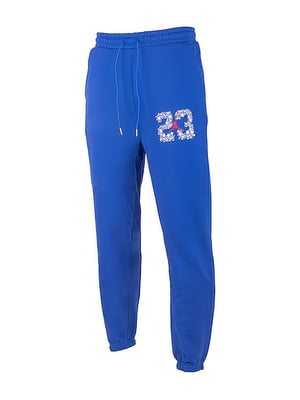 Спортивные брюки синие | 6641349