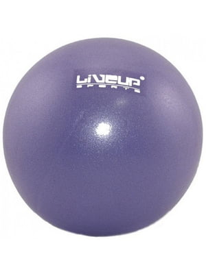 М'яч фіолетовий (20 см) | 6648819