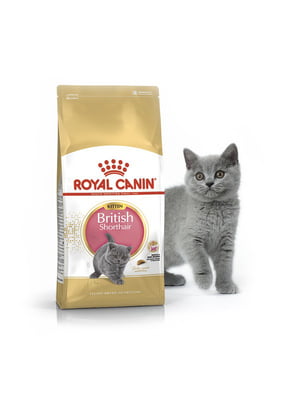 Сухий корм для британських короткошерстих кошенят до 12 місяців Royal Canin British Shorthair Kitten 10 кг | 6656124