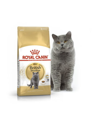 Сухой корм для взрослых котов породы британская короткошерстная Royal Canin British Shorthair Adult 10 кг | 6656190