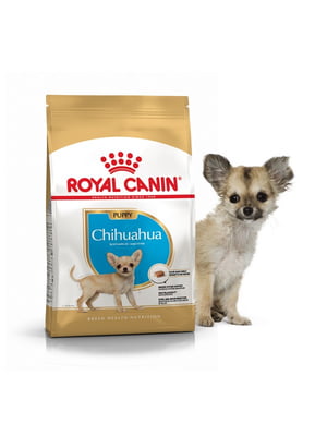 Сухий повнораціонний корм Royal Canin Chihuahua Puppy від 2 до 8 місяців 0.5 кг | 6656282