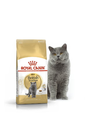 Сухой корм для котов породы британская короткошерстная от 12 месяцев Royal Canin British Shorthair Adult 400 г | 6656529