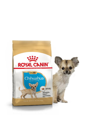 Сухий повнораційний корм Royal Canin Chihuahua Puppy від 2 до 8 місяців 1.5 кг | 6656783