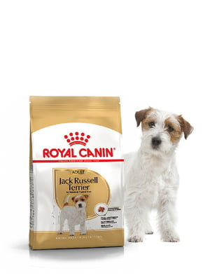 Сухой полнорационный корм Royal Canin Jack Russell Adult от 10 месяцев 1,5 кг | 6656820