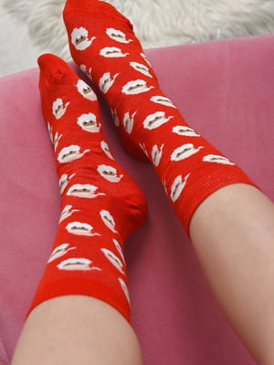 Шкарпетки новорічні червоні з принтом | 6685702