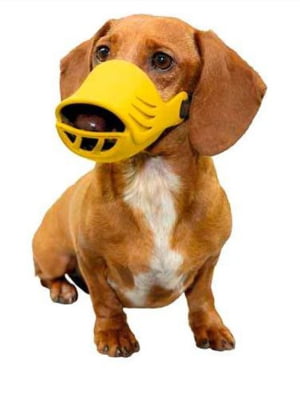 Намордник Dog Muzzle, размер M, цвет желтый | 6654963