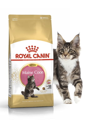 Сухий корм для кошенят породи мейн кун до 15 місяців Maine Coon Kitten 400 г | 6695262