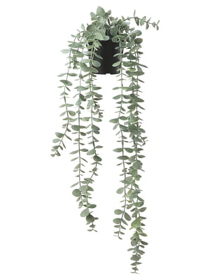 Штучна рослина в горщику, кімнатна/зовнішня підвіска/евкаліпт, 9 см  | 6691737