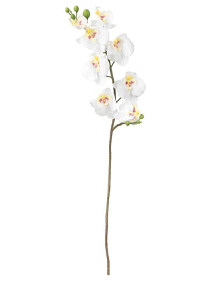 Штучна квітка Орхідея/білий, 60 см  | 6691982