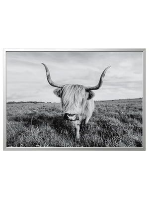 Картина в рамці цікава корова/срібло 140х100 см | 6692846