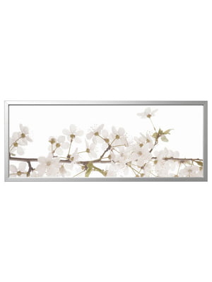Картина в рамці, білі квіти/срібло, 140х56 см  | 6693475