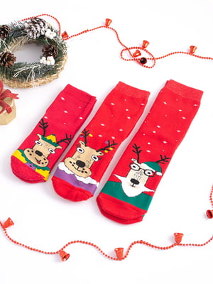 Набір новорічних махрових шкарпеток червоного кольору з принтом "FAMILY LOOK" (3 пари) | 6697913