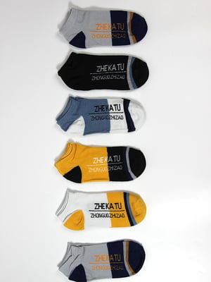 Комплект різнокольорових шкарпеток (6 пар) | 6699031