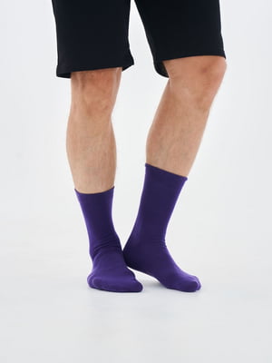 Шкарпетки класичні фіолетові | 6704730
