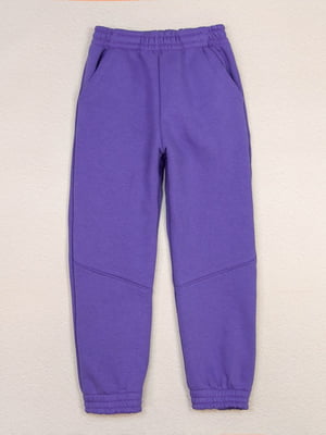Фиолетовые спортивные штаны с карманами и манжетами | 6722011