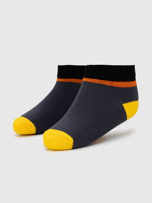 Шкарпетки сірі | 6740230