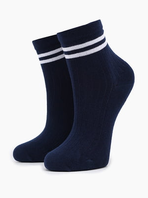 Шкарпетки для хлопчика  (20-22) сині зі смужкою  | 6743806