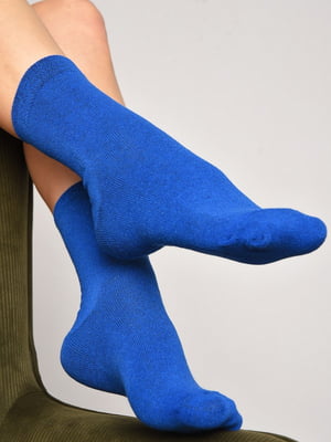Демісезонні сині шкарпетки | 6761022