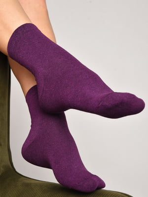 Демісезонні фіолетові шкарпетки | 6761023