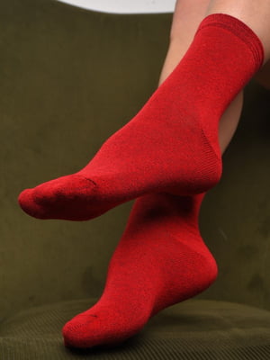 Демісезонні бордові шкарпетки | 6761040