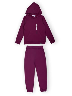 Фиолетовый хлопковый костюм: худи и брюки | 6764288