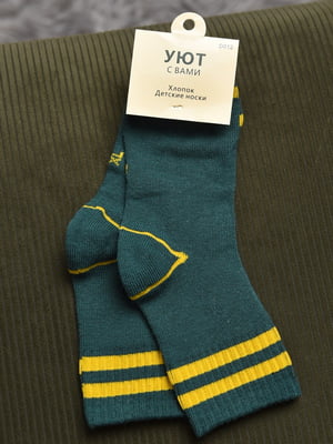 Шкарпетки зелено-жовтого кольору | 6768547