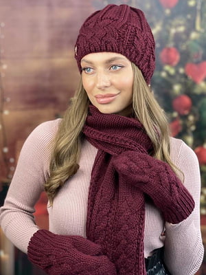 Бордовий комплект «Камелія»: шапка, шарф та рукавиці | 6774790
