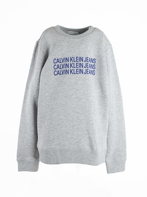 Реглан сірий з принтом Calvin Klein | 6784723